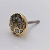 Brass Finished Shell Knob - Web Design