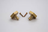 Solid Brass Hexagon Knob - Brushed Brass