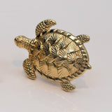 Premium Turtle Knob - Gold